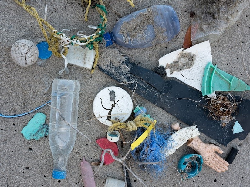 Marine Debris Program Coordinates California Ocean Litter Strategy ...